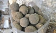 Ученые обнаружили фрукт, омолаживающий кровь
