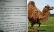 "Верблюд нюхал рельсы". Родителей возмутил учебник по чтению для 3 класса
