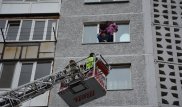 Конфликт из-за выгула собаки вылился в спецоперацию в Петропавловске