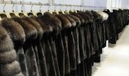 Тонды дұрыс таңдай білесіз бе? Киіс беретін ішік сатып алатындарға 5 кеңес