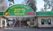 Петиция о закрытии зоопарка в Алматы появилась в Сети