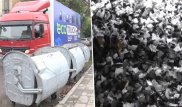 В Караганде придумали первый в Казахстане передвижной пункт переработки пластикового мусора