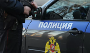 Борец джиу-джитсу травмировал полицейских при задержании в Москве