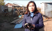 80-килограммовый алабай набросился на сотрудника "Хабара" во время съемок