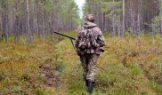 Джейранов убили браконьеры в Жамбылской области