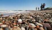 Горбачеву назло: послание в бутылке от советских моряков нашли в Бразилии