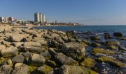 Токаев посетит Актау