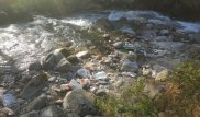 Кишечная палочка найдена в Большой Алматинке