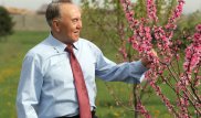 Назарбаев написал маслом 30 картин