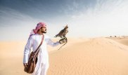 Арабские шейхи охотятся на казахстанских дроф. Зачем РК это соглашение
