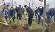 Токаев вышел на субботник и посадил деревья в Нур-Султане
