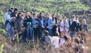 Сгоревший склон Кок-Тобе засадили тюльпанами Назарбаева