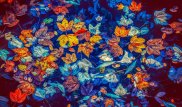 Пыльную бурю и грозы обещают казахстанцам синоптики