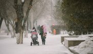 Снег и метель прогнозируют синоптики в Казахстане