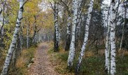 На севере Казахстана найдены мертвыми пропавшие школьница и мужчина