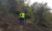 Уничтожение яблоневого сада может стать причиной селя - эксперт