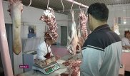 30 случаев бруцеллеза выявили в Алматы
