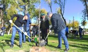 Как в Туркестанской области создают благоприятный климат