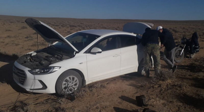 Семья из 4 человек заблудилась в степях Туркестанской области
