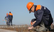 Трудоустраивать приезжих студентов там, откуда они прибыли, предложили в Нур-Султане