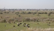 Добро пожаловать в Gate Сity. Как сейчас выглядит будущий город-60-тысячник