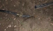 Контрабандисты качали бензин в Кыргызстан по 3-километровой трубе