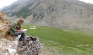 Часто летавшая в Казахстан орлица разоряет российских ученых
