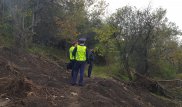 Уничтожение яблоневого сада в Алматы: установлены подозреваемые
