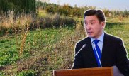 "Это наша недоработка" - Кожагапанов рассказал о судьбе брошенных на Кок-Тобе саженцев