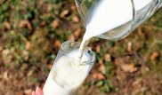 Молочные продукты подорожали в Казахстане - исследование