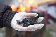 5 наркогруппировок ликвидировали в Казахстане