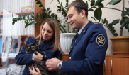 Кошку-наркокурьера поймали в России