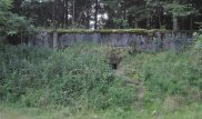 Из заброшенного советского бункера вырвался миллион насекомых-каннибалов