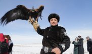 Турнир по охоте с хищными птицами проходит в Карагандинской области
