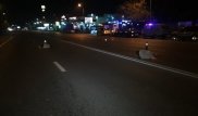 Сбившего насмерть двух мужчин водителя задержали в Алматы