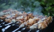 Шашлычные в горах: в Комитете лесного хозяйства ответили на жалобу алматинцев