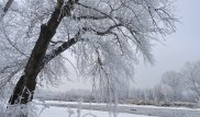 "Жаз ыстық болса, қыс қатты болады". Мамандар ұғымның рас-өтірігін айтты