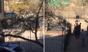 Массовую драку подростков сняли на видео в Актау