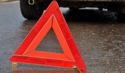 Трое малолетних детей пострадали в ДТП с лошадьми в Павлодарской области