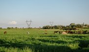 Токаев о своем поручении: Похоже, решили спустить на тормозах?