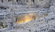 Прогноз погоды на 20 ноября: ожидаются метель и гололед