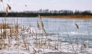 Мужчина провалился под лед на реке Есиль