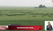 "Инопланетные" круги на полях в СКО озадачили жителей