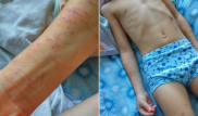 7-летний мальчик попал с побоями в больницу Караганды