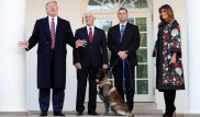 Трамп принял в Белом доме пса - ликвидатора лидера ДАИШ