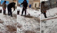 Посадку саженцев в промерзшую почву сняли на видео в Сатпаеве
