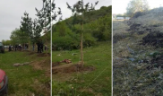 Украденные сосны ищут полицейские Алматинской области