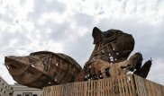 Бүткіл проблема тиінге тіреліп тұрса, оған мен қуанамын - Сағынтаев