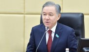Нигматулин дал оценку работе НПП "Атамекен"