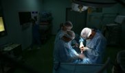 Собаке с оторванным носом сделали пластическую операцию